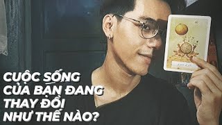 Cuộc Sống Của Bạn Đang Thay Đổi Như Thế Nào ? - Chọn 1 tụ bài Tarot