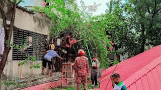 একটি বাগান বিলাশ এবং আমি 🥰