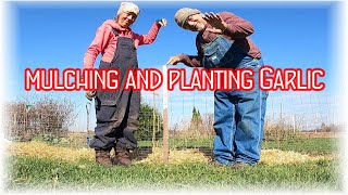 Mulching and Planting Garlic