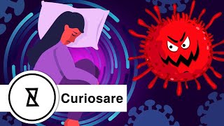 Covid 19: Il Coronavirus ha aiutato il Pianeta Terra a guarire? Curiosare | YouCurious Italian