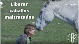 "Recuperamos caballos maltratados" - Rosa Galindo, Fundació Miranda