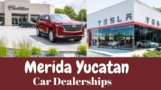 Merida Yucatan Where You Can Buy All Different Kind Of Cars That's Name Brand!!!! WATCH NOW!!