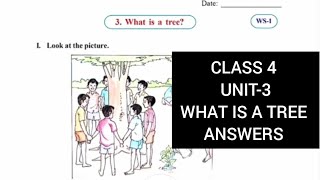 FLN CLASS 4 ENGLISH UNIT-3 WHAT IS A TREE WORK BOOK ANSWERS 2024/2025 TELANGANA STATE