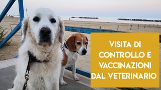 Visita di controllo dal veterinario e vaccinazioni 2020