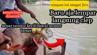 Tester umpan bawal babon,,begitu lempar langsung kelelep