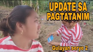 GULAYAN SERYE 2 | PAGTATANIM NG GULAY SA BUKID @AgribusinessHowItWorks @AgricultureTechology