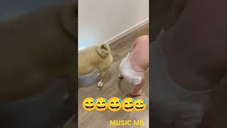 BABY ENJOY WITH DOG #BABY #FUN #dog #cute #trending #reels #viral #play #football