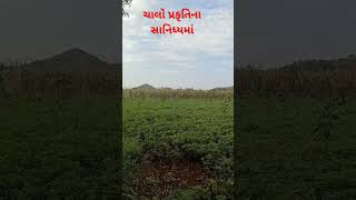 બધાજ ટેંશનનો ઈલાજ આપણી પ્રકૃતિ #amazing #patrioticsong #ohmygod #love #amazingfact