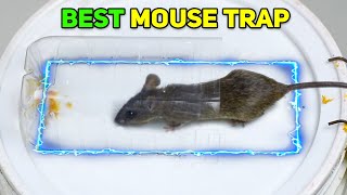 Best Mouse/Rat Trap Bucket | Mouse in Trap | Mice Traps/Mouse Trap Near Me | Mouse Catcher