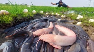 wow fisherman pick a lot of duck eggs and catch fish at first skill