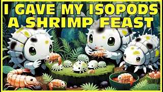 I Gave My Isopods A Shrimp Buffet! 4k - Isopod House Terrarium