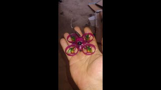 Hands Down the Best 2s 65mm outdoor whoop Setup