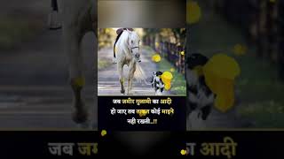 एक अनमोल सच#motivationsayari#hearttouchingsayari#lovestatus#ytube‎ @A2motivationsayari