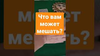 Выберите карту. Что вам может мешать. Таро советуют.