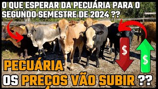 O QUE ESPERAR DA PECUÁRIA PARA O SEGUNDO SEMESTRE DE 2024, OS PREÇOS VÃO SUBIR ?????