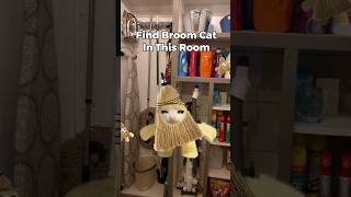 Broom Cat Finding Challenge