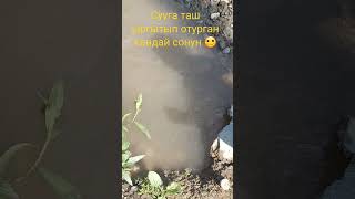 Кун ыссыкта суу ойномой #shortsvideo