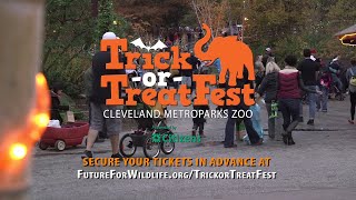 Trick or Treat Fest TV