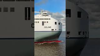 RoRo Ship Celine @Port of Killingholme U.K. #viral #shortvideo #travel #seaman #cobelfret