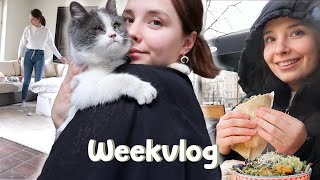 Huis renovatie, zieke kat & vriendinnen date | WEEKVLOG