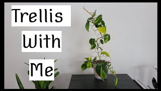 Trellis With Me | New Plant Trellis