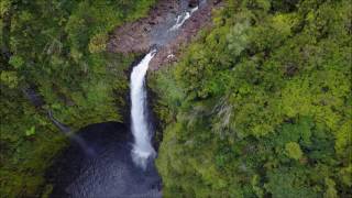 DJI  Mavic pro at Akaka Falls Big island Hawai'i  vlog #1