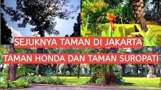 PENJUAL TANAMAN HIAS DI TEBET || TAMAN HUTAN KOTA TEBET || TAMAN SUROPATI