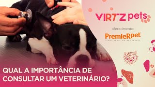 Qual a importância do alimento ideal para o pet e de consultar um veterinário? | PremieRpet®