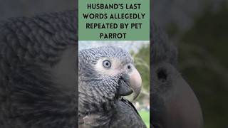 Did pet parrot repeat murder victim's last words? #truecrime #shorts