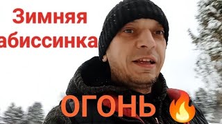 Абиссинская скважина В Хотьково. Низкое зеркало воды 8м