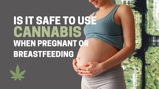 Is It Safe To Use Cannabis When Pregnant or Breastfeeding?