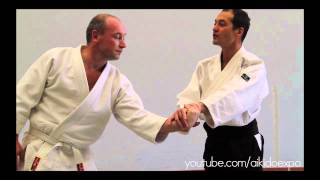 Importance of Using Your Back in Aikido