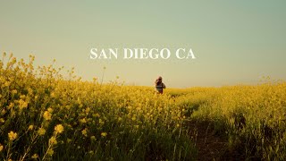 San Diego Superbloom // Sony A7iii cinematic short *Dehancer film emulation*