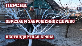 Обрезка нестандартного персика / Спасаем дерево !!!