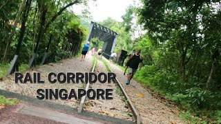 Rail corridor in Singapore | it open for all exercise long distance cycling running walkvideography