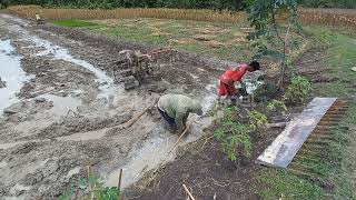 traktor sawah menggaru bekas JAGUNG