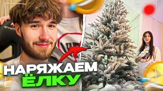 КОРЕШ И ВИШЕНКА НАРЯЖАЮТ ЕЛКУ! КОРЕШ И ВИШЕНКА ИРЛ!