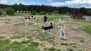 Amanda Sjölander och Riga - SM för alla (aglopp)