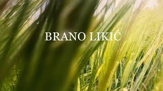 Brano Likic-Vjeruj mi