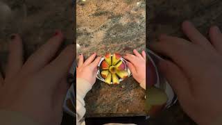 This Apple Slicer is Genius!