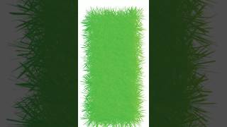 green grass vector template design tutorial   #graphicdesign #howtocreatelogoinillustrator #logo