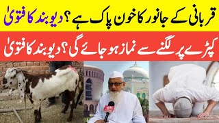 Qurbani Ke Janwar Ka Khun Pak Hai Ya Napak || Kapde Par Lagne Se namaz Hogi Ya Nahin