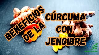 Cúrcuma con Jengibre, beneficios de la Cúrcuma con Jengibre, Cúrcuma y Jengibre para la Salud