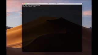 Reinicio de Caché DNS MacOs Mojave