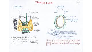 Glossopharyngeal Nerve & Thyroid Gland Quick Revision Notes