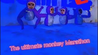 The Ultimate monkey Marathon￼