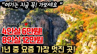 지금이 1년 중 가장 아름다울 때라 꼭 가야하는 4인 6만원 가성비가 아주 좋은 숙소ㅣ경치가 너무 멋있고 깨끗한 숙소 추천ㅣ너무 만족해서 자신있게 추천하는 여행지ㅣ가을여행