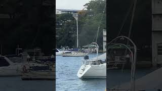 Kurraba Point Wharf view from North Sydney #sydney #sydneyferries