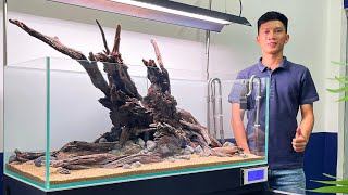 THI CÔNG HỒ THUỶ SINH 120CM - Bố Cục Thủy Sinh LŨA NHẤT TRỤ - NATURE AQUARIUM SETUP