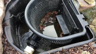 Koi Pond Cleaning in Latrobe PA | Pittsburgh